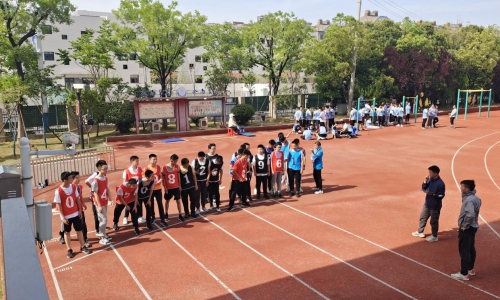 500x300_crop (4) 500x300_crop (4)