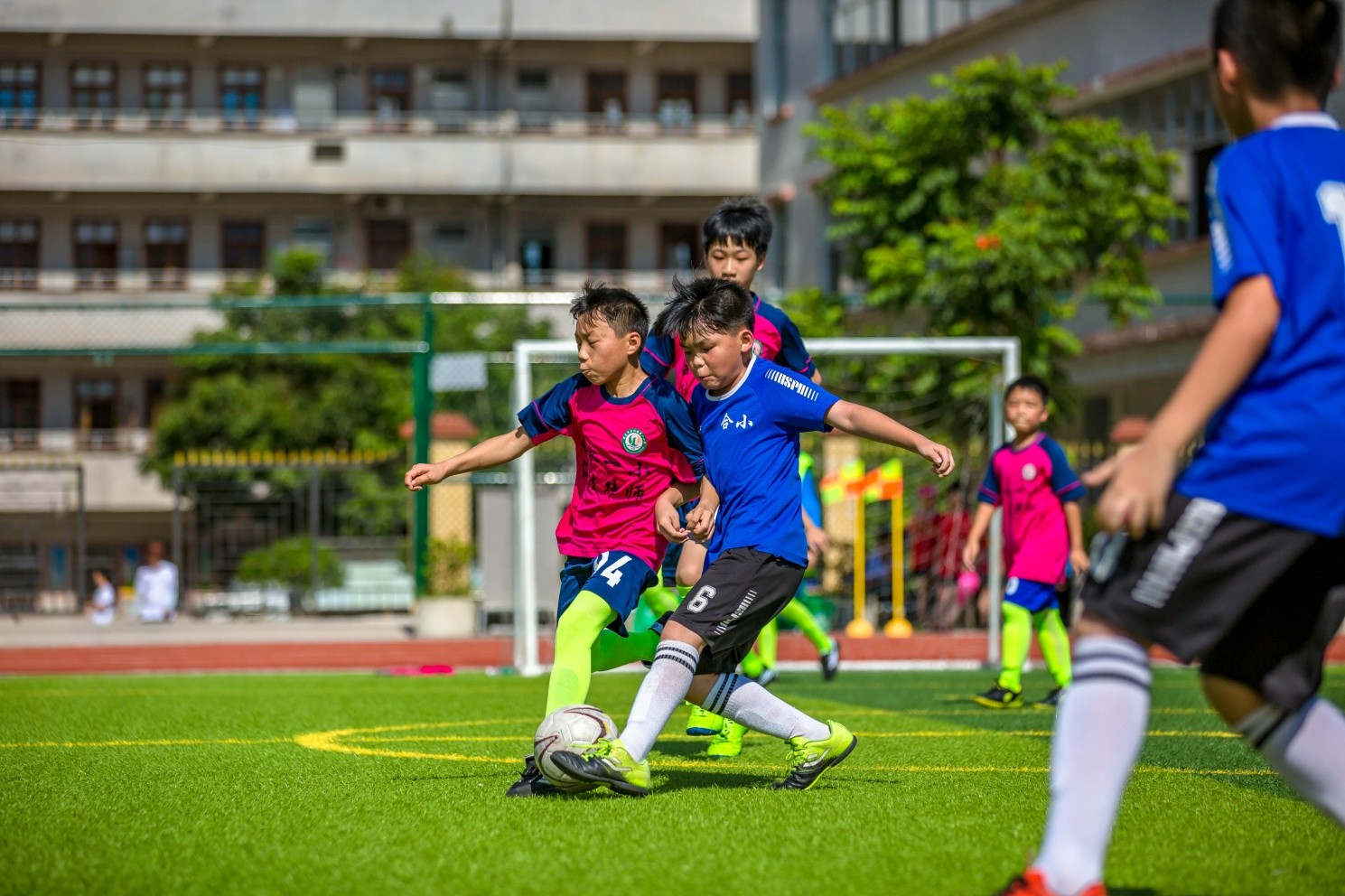 d451fa7f86010d3882b7b9382147e2b0 d451fa7f86010d3882b7b9382147e2b0